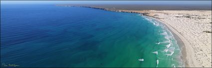 Whales - Head of Bight - SA (PBH3 00 28938)